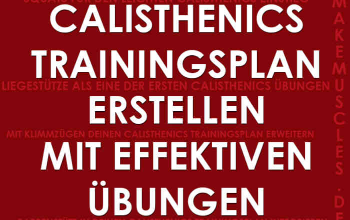 Calisthenics Trainingsplan erstellen mit effektiven Übungen